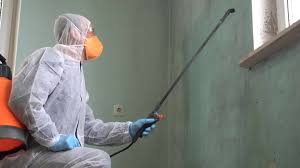 Best Mold Remediation for Healthcare Facilities  in Andrews, NC