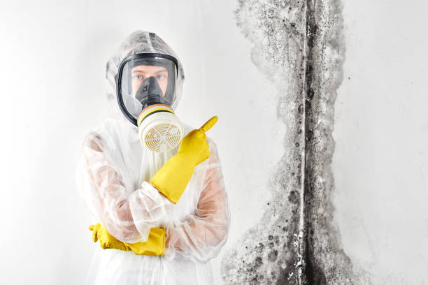 Mold Remediation for Vacation Homes in Andrews, NC