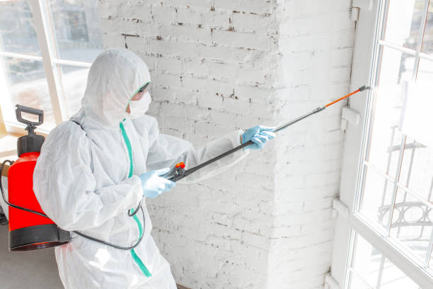 Andrews, NC Mold Removal & Remediation Company