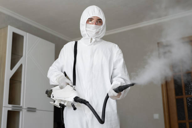 Best Environmental Consulting for Mold Prevention  in Andrews, NC